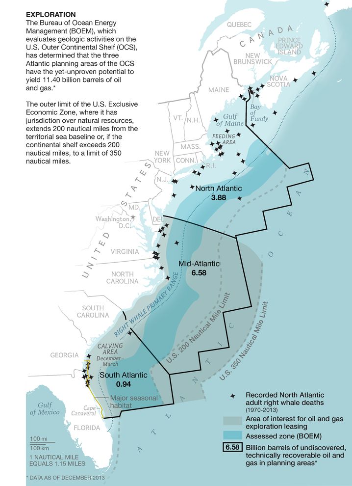 Map of whale deaths.